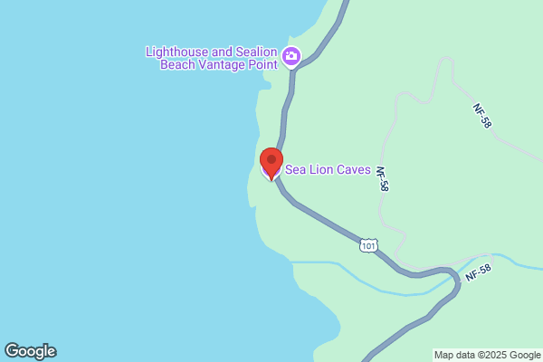 Sea Lion Caves