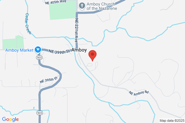 Amboy Trailer Court