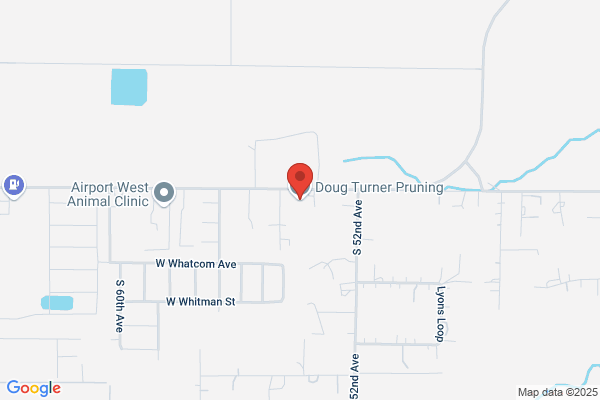 Turner Doug Pruning