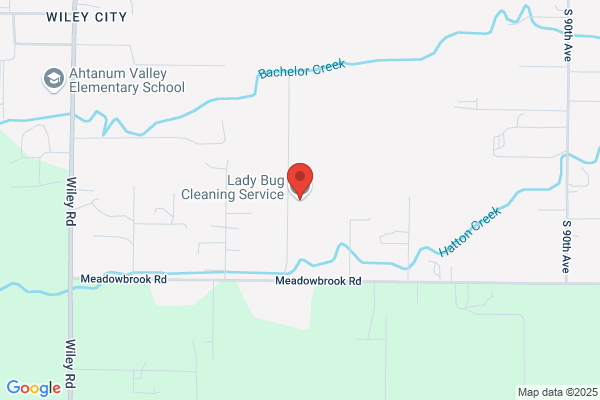 Lady Bug Cleaning Service