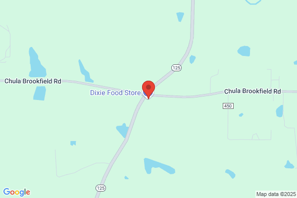 Dixie Food Store Inc