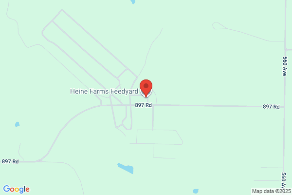 Heine Cattle Company
