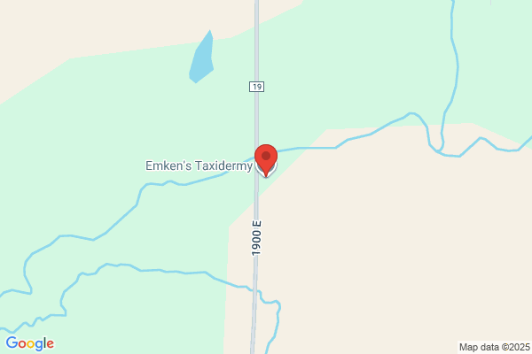 Emkens Taxidermy