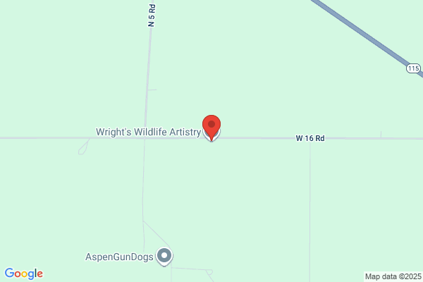 Wright's Taxidermy