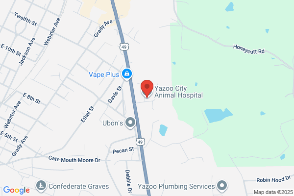 Yazoo Animal Medical Clinic