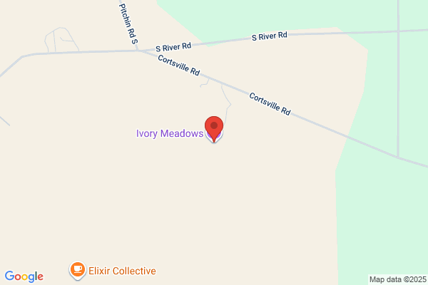 Ivory Meadows, LLC