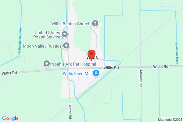Willis Music Studio