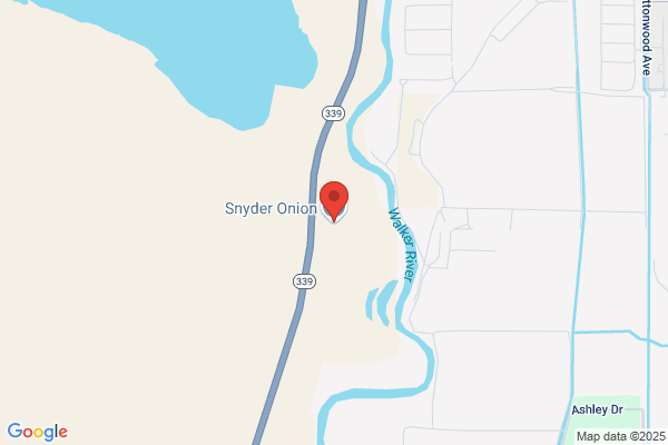 Snyder Onion Inc