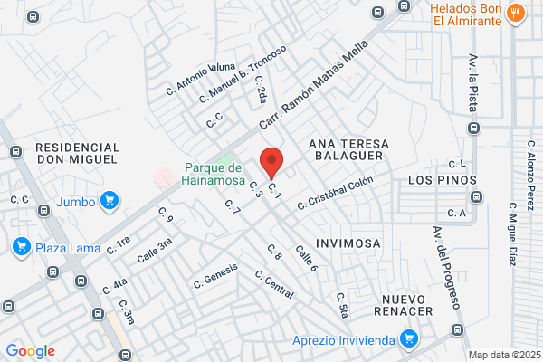 Ana Luisa Manzueta Grocery