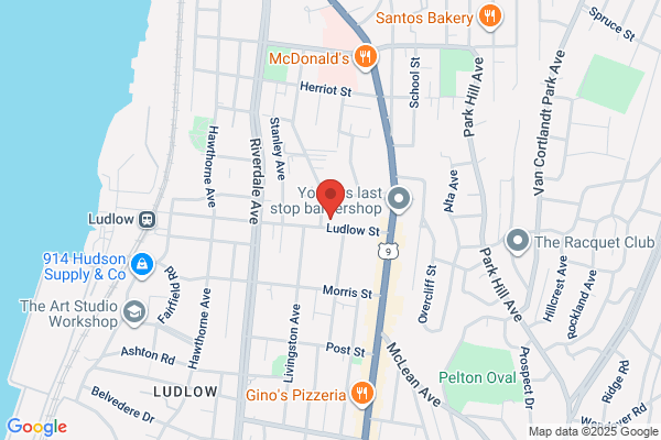 Lsg Security Systems Inc