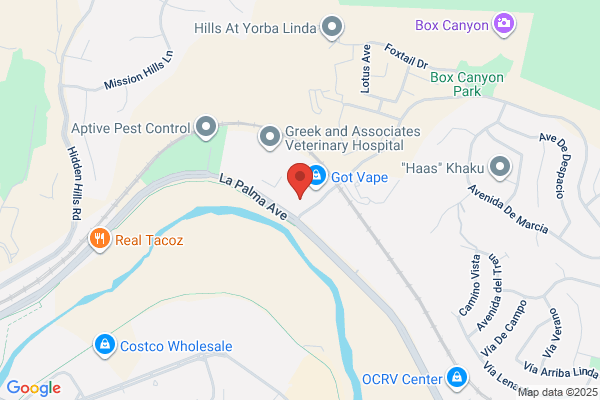 York Medical Physics