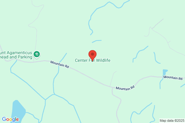 Center For Wildlife the