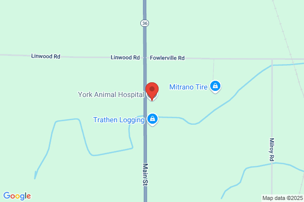 York Animal Hospital Inc