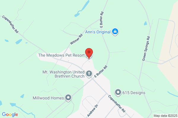 Meadows Pet Resort the