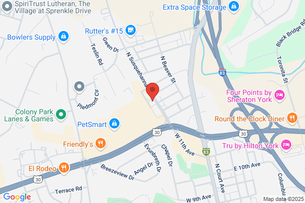 North York Dog Grooming