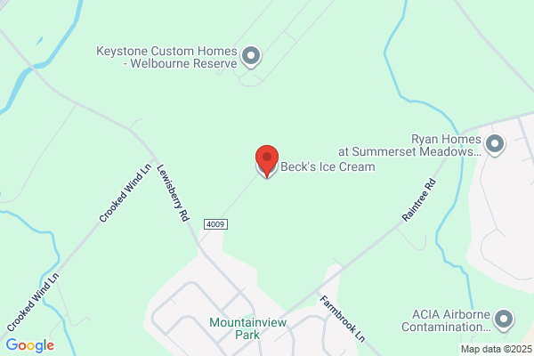 Beck's Ice Cream