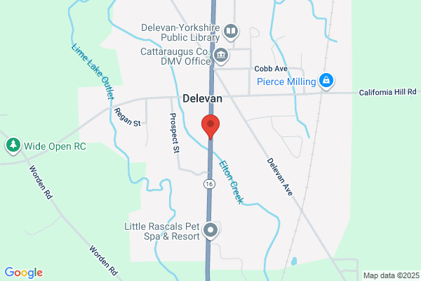 Village of Delevan Garage