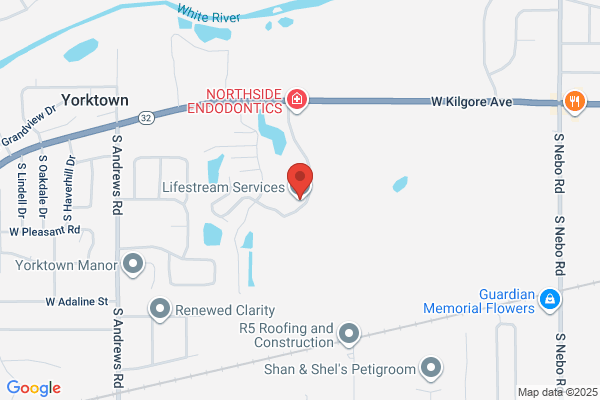 Lifestream Services Inc
