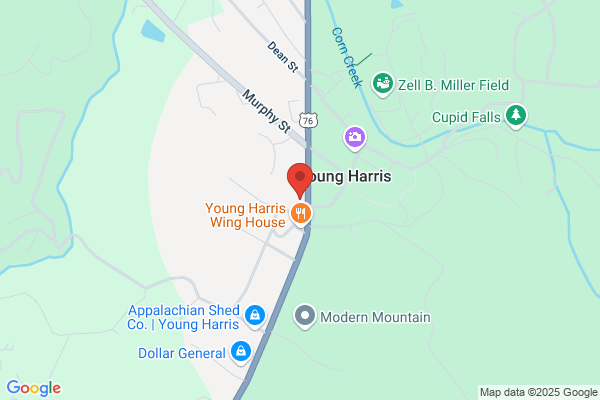 Young Harris Florist