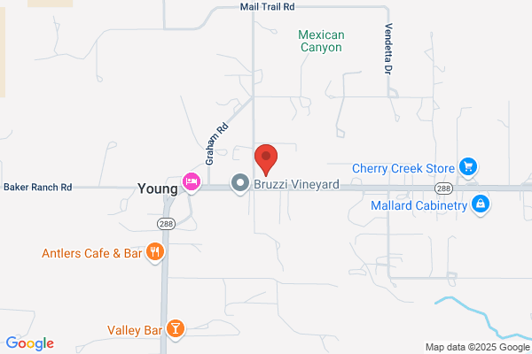 LDS Church Young Branch