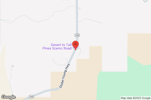 Pleasant Valley Auto Parts