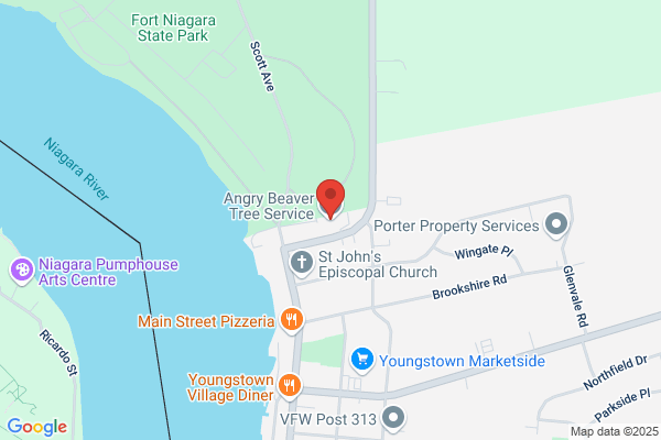 Angry Beaver Tree Services