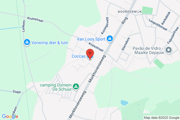Cocca's Pizza