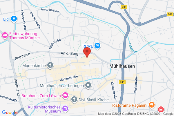 Expert Service Exterminating