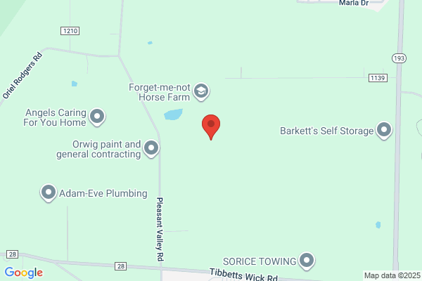 Dave Price Tree Service & Stump Removal