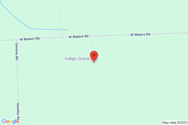 Indigo Rose Consulting