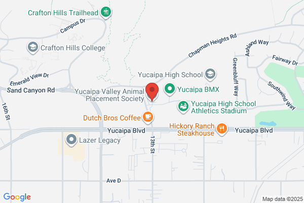Yucaipa Valley Animal Placement Society