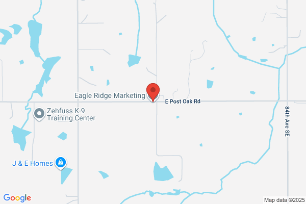 Eagle Marketing Inc