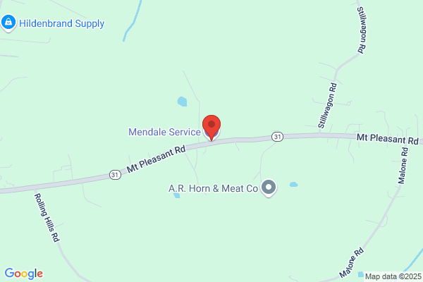 Mendale Service