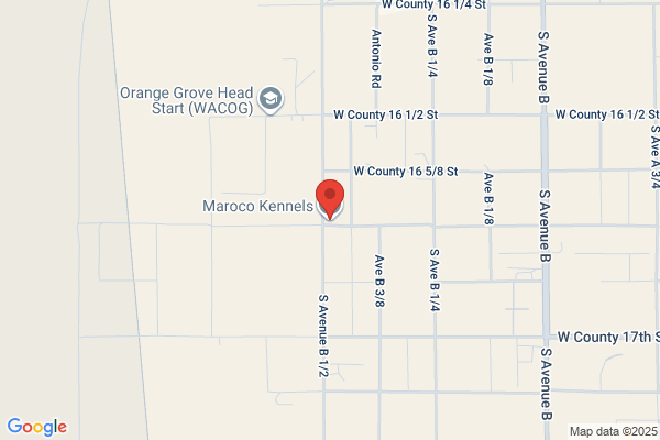 Maroco Kennels