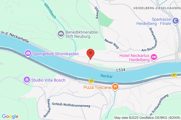 Heidelberger Handyman and Painting