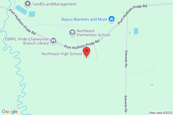 Northeast High School