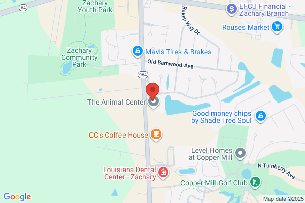 David L. Nolan, Greater Baton Rouge Agent - Keller Williams