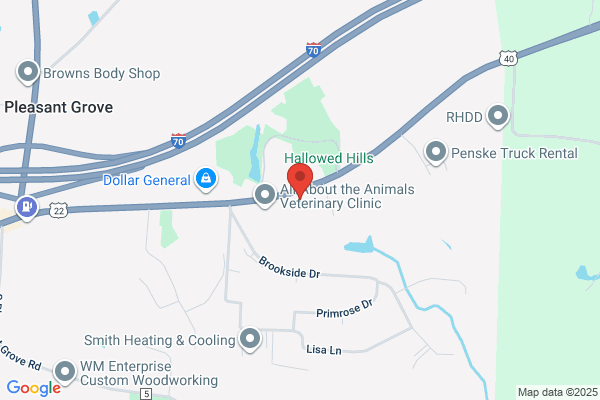 Oem Hydraulics Inc
