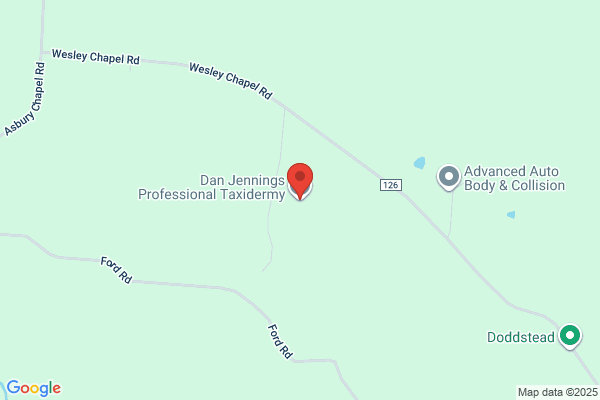 Jennings Dan Professional Taxidermy