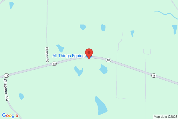 All Things Equine