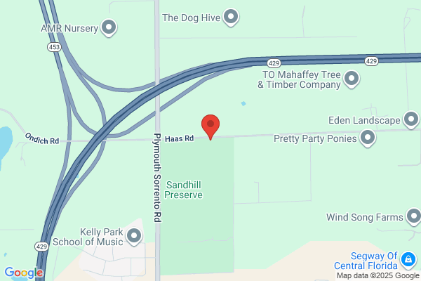 Apopka Forest the