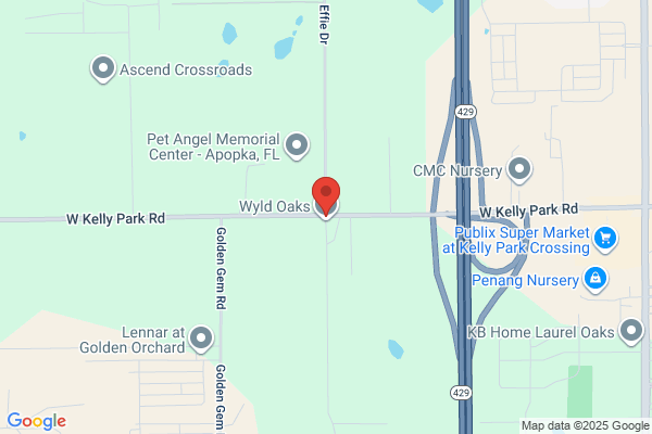 Windy Acres Ranch