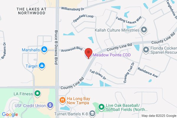 Meadow Pointe Academy Inc