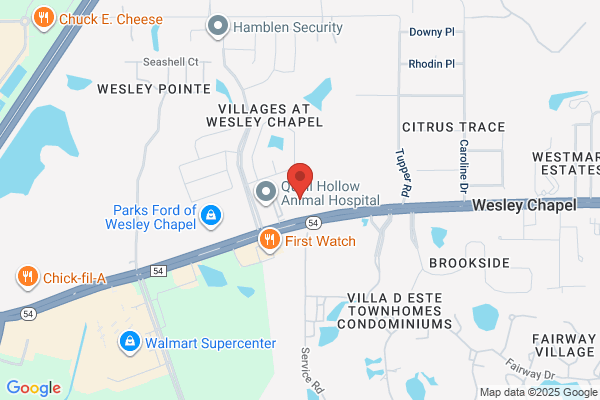 Wesley Chapel Dentistry