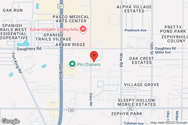 Suzanne Araujo, MSN, APRN, FNP-C Palm Medical Centers - Zephyrhills