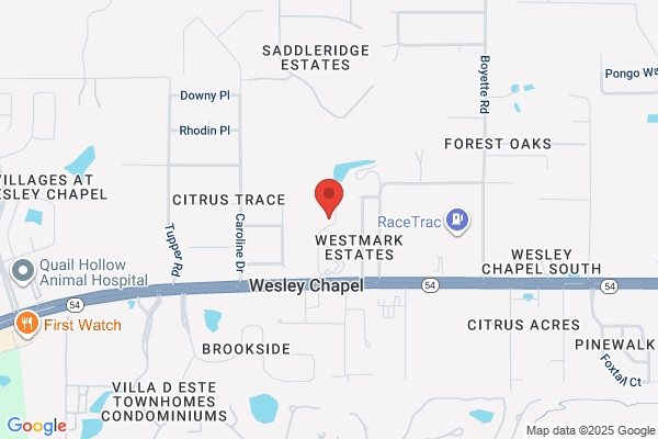 Select Physical Therapy - Wesley Chapel