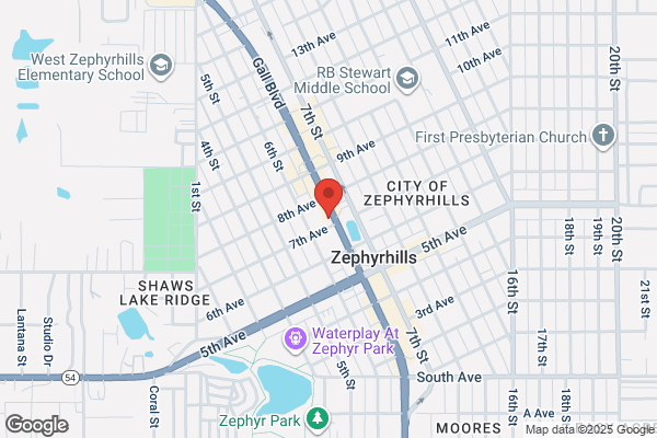 Hangry Joe's Zephyrhills Hot Chicken