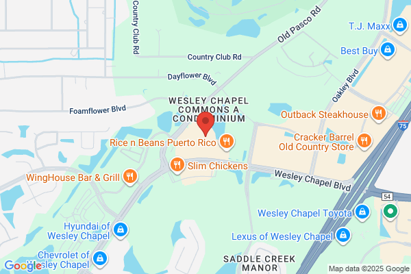 Beef Obradys Wesley Chapel
