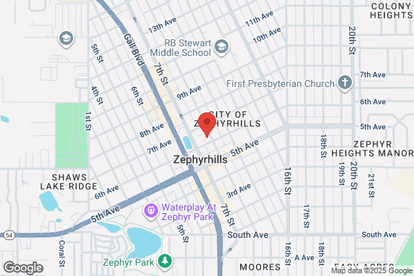 Main Street Zephyrhills Inc