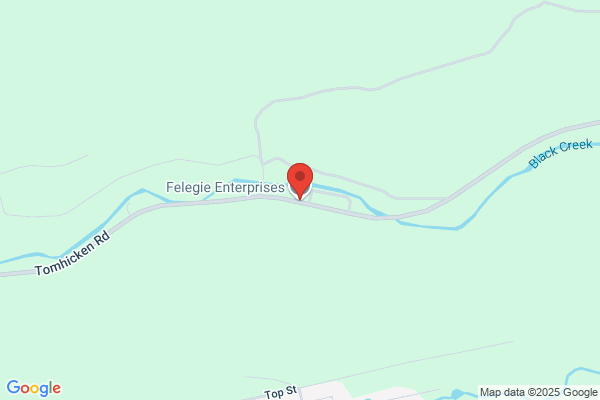 Felegie Enterprises